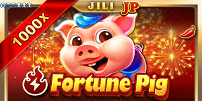 Fortune Pig