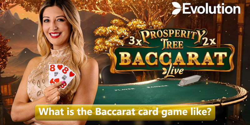 What is the Baccarat card game like?